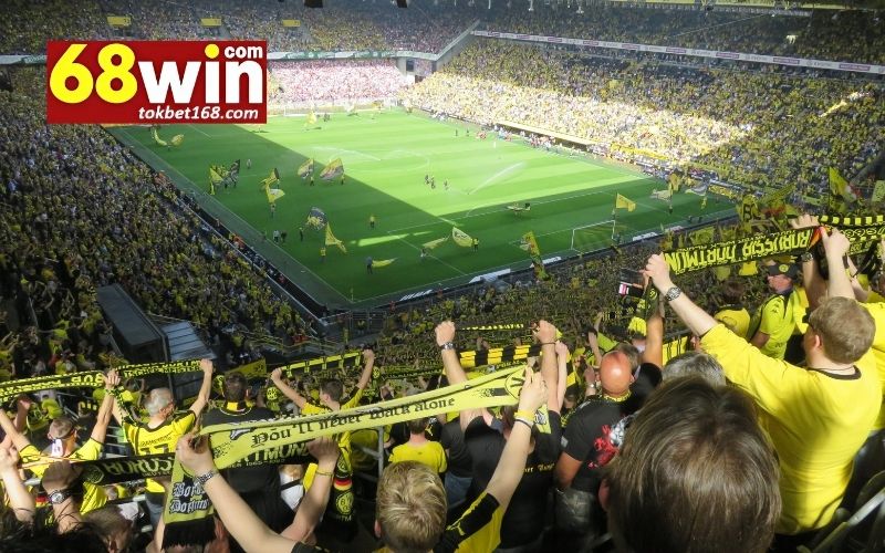 Hướng dẫn đọc tỷ lệ kèo tại 68win